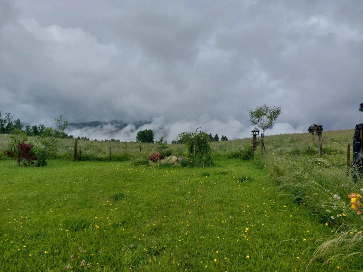 Petit Nature